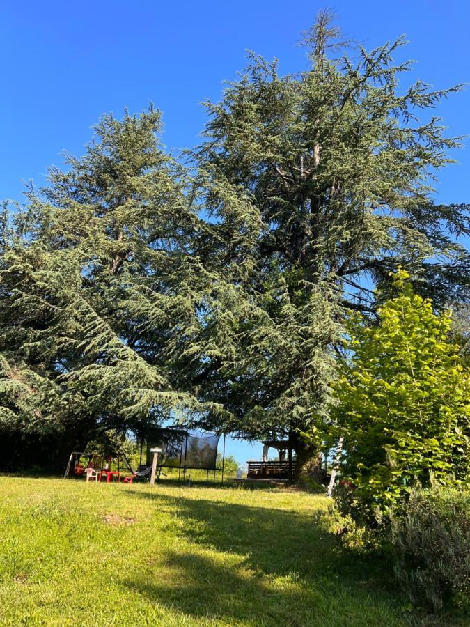 Domaine Le Manoir, Gites De Charme Et De Caractere Avec Piscines Privatisees Et Spa Nordique Fossemagne Exterior foto